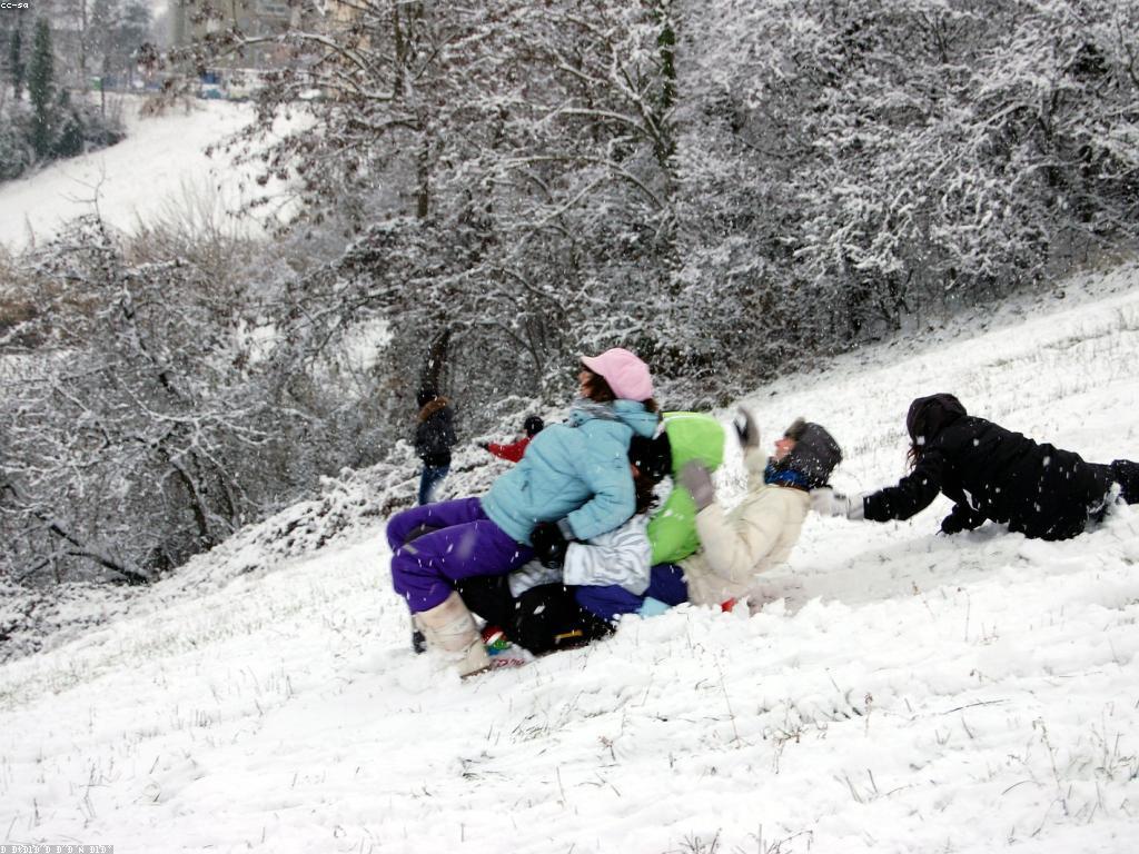 អត្ថប្រយោជន៍នៃlv855